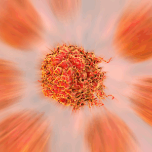 Cancer Combat Tea Bundle