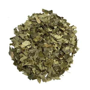 Full Mintea